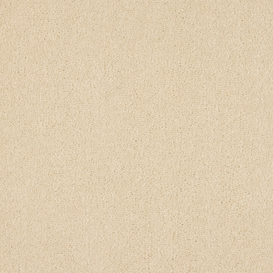 Luxury carpet in Almond Milk