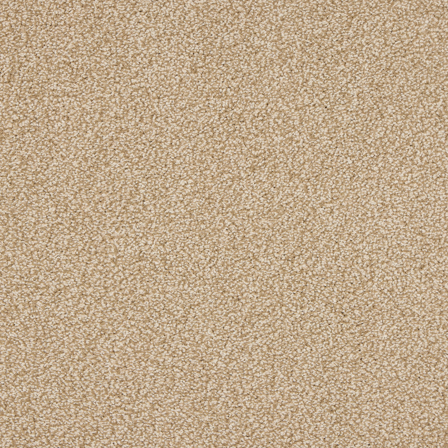 Luxury carpet in Hazelnut