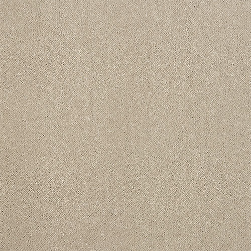 Super soft twist carpet in Moon Cloud
