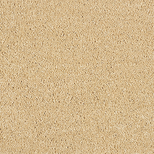Deep pile saxony carpet in Soft Sandstone