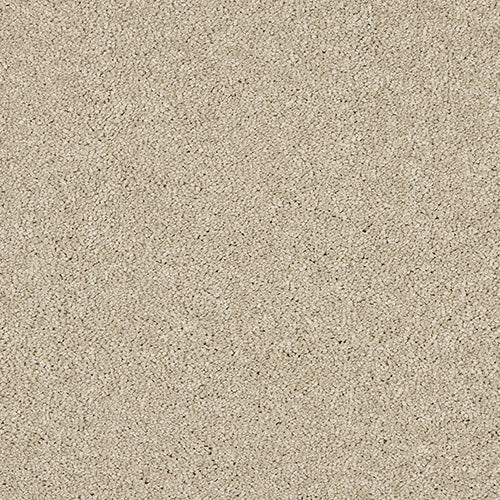 Soft & luxurious carpet in Dust