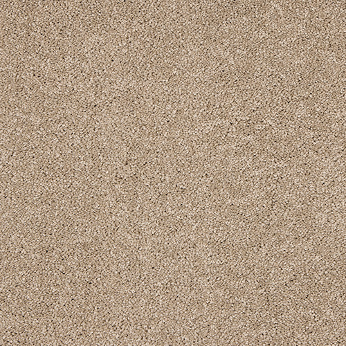 Soft & luxurious carpet in Mouseback