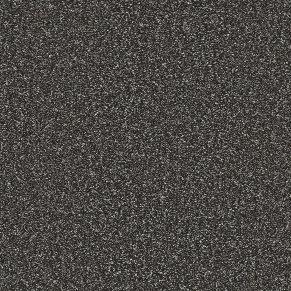Charcoal Haze