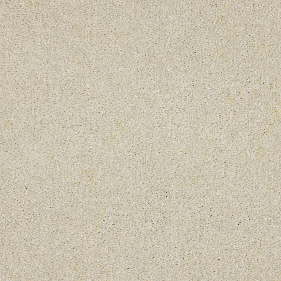 Luxury carpet in Pearlescent