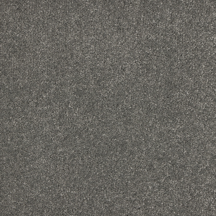 Luxury carpet in Velvet