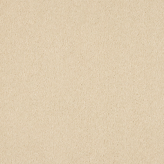 Luxury carpet in Almond Milk