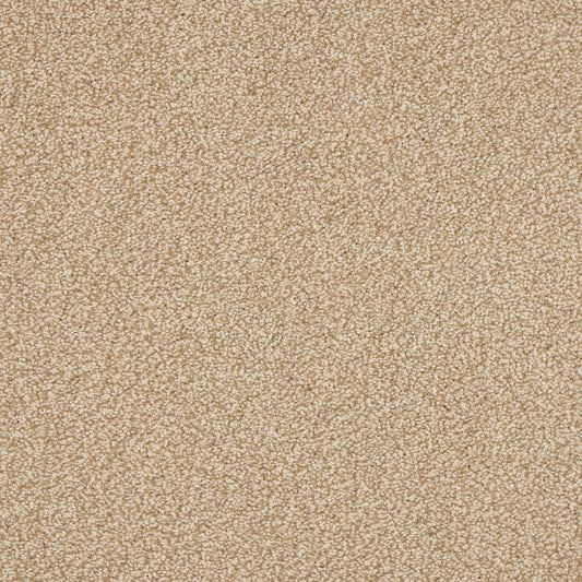 Luxury carpet in Hazelnut