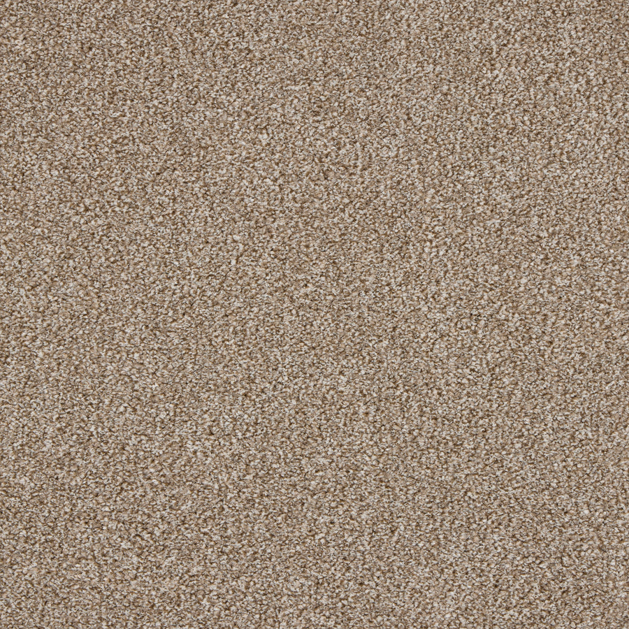 Luxury carpet in Nutmeg