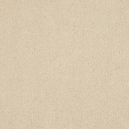Luxury carpet in Ivory White