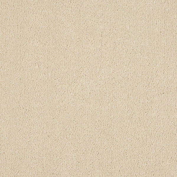 Ivory White