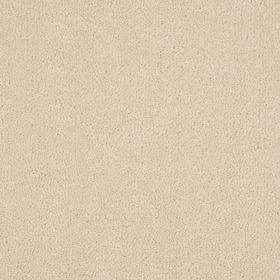 Luxury carpet in Ivory White