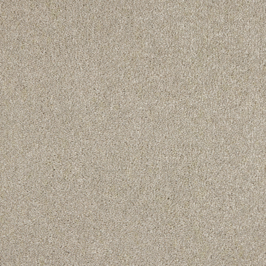 Luxury carpet in Feather