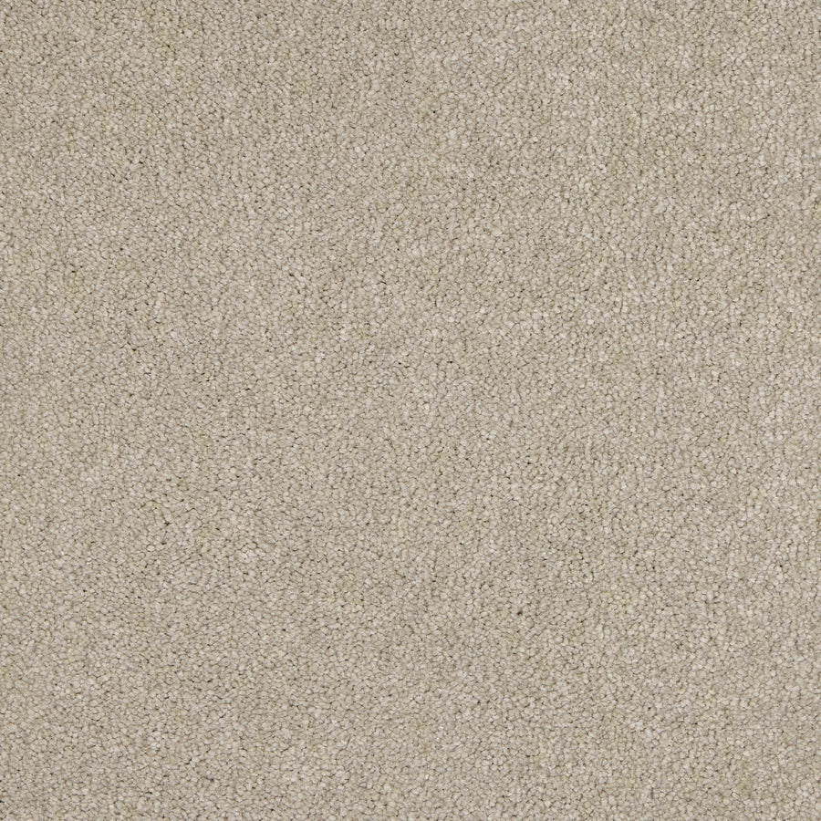 Luxury carpet in Feather