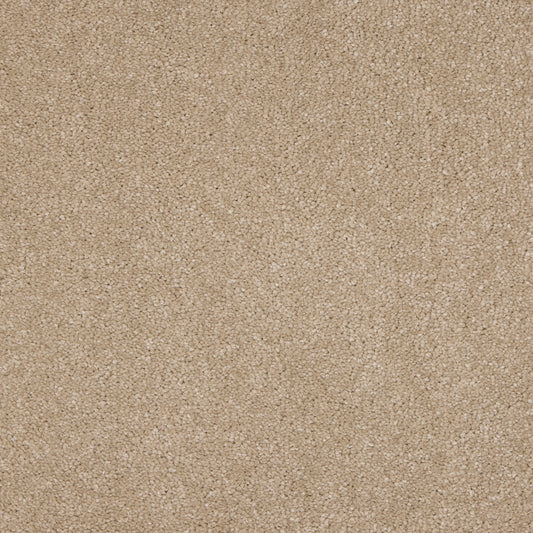 Luxury carpet in Mink