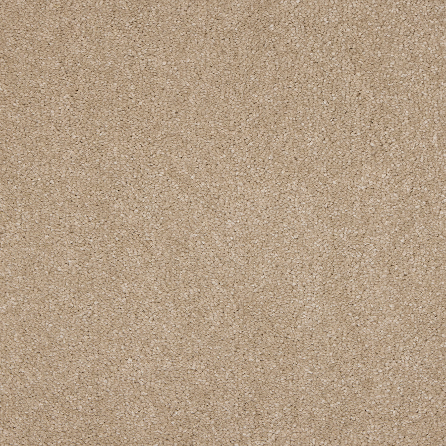 Luxury carpet in Mink