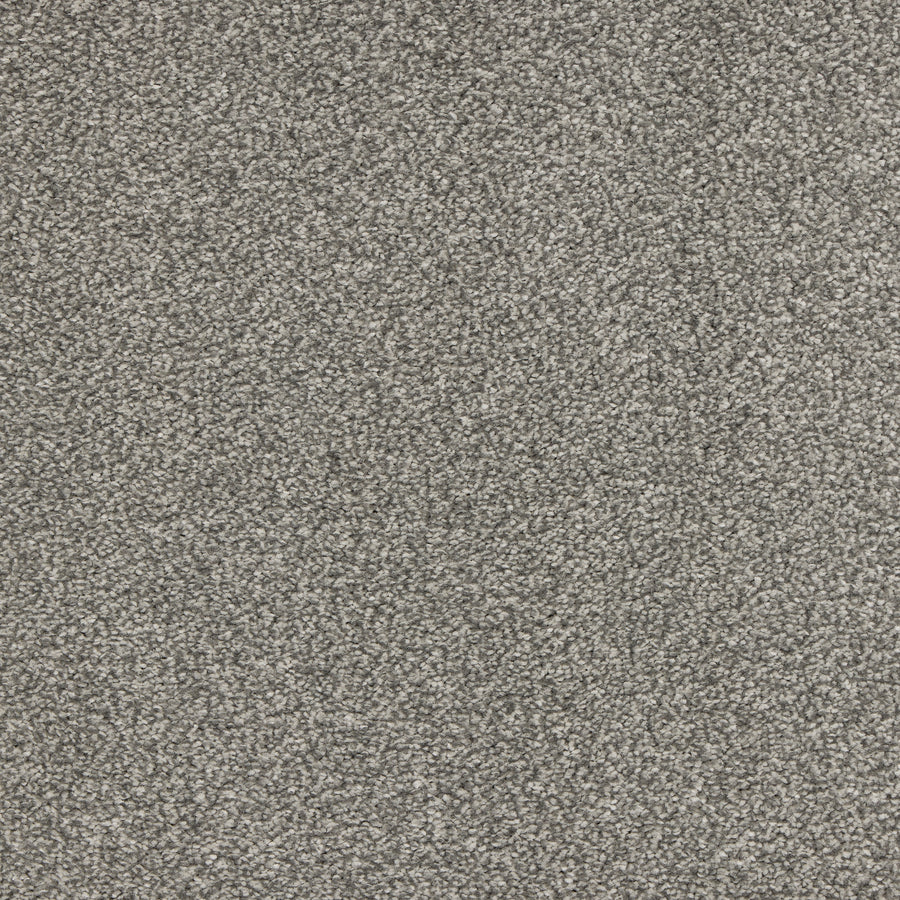 Luxury carpet in Graphite