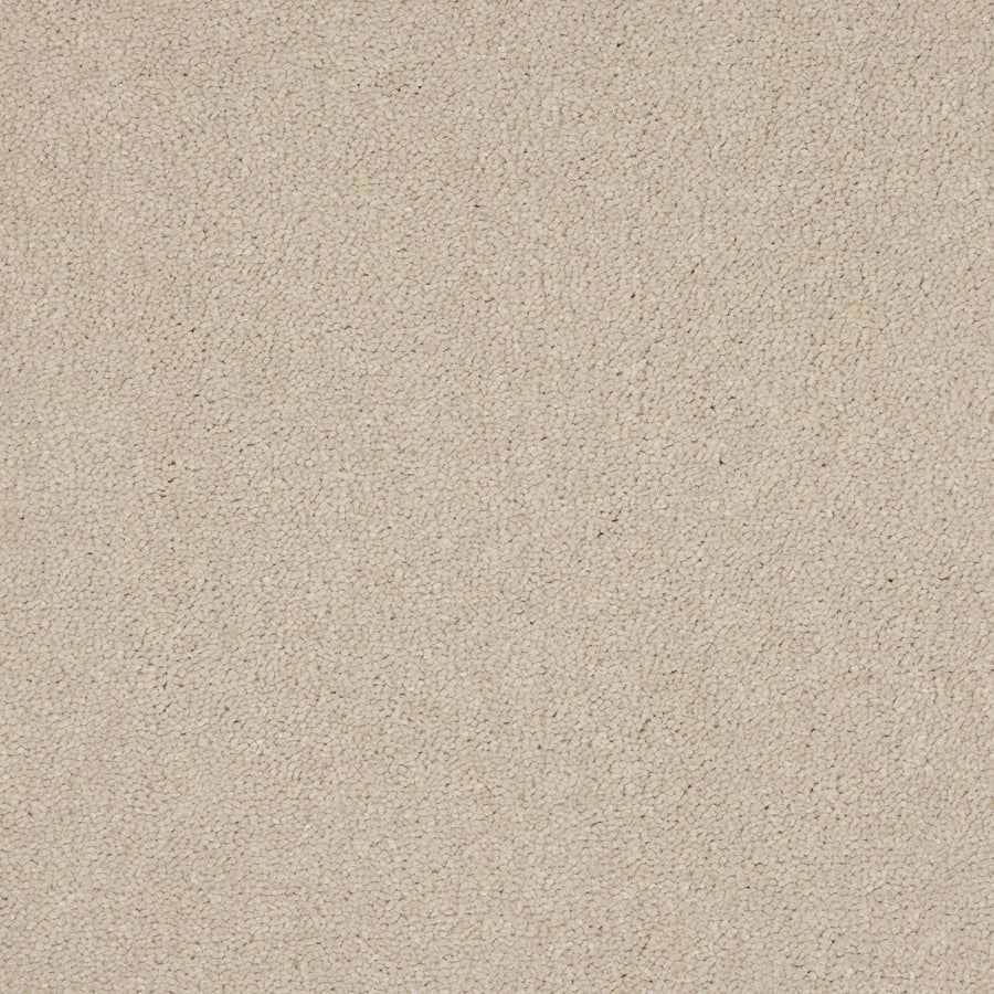 Luxury carpet in Cloud Mist