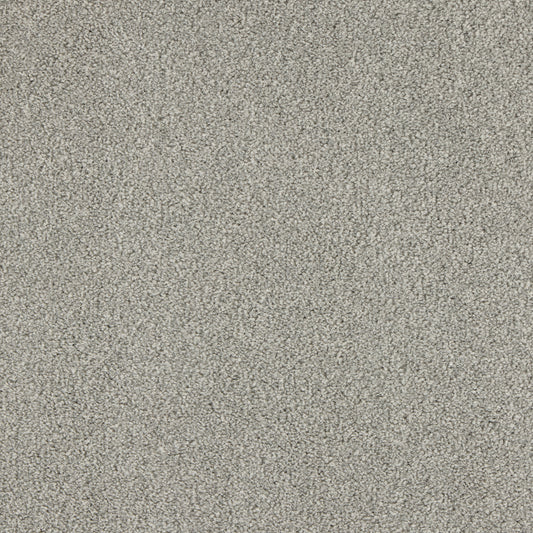 Luxury carpet in Seal