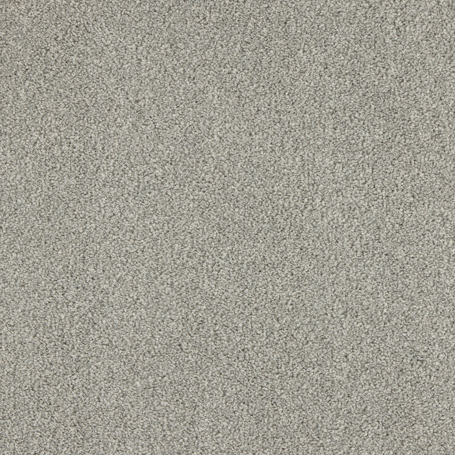 Luxury carpet in Seal