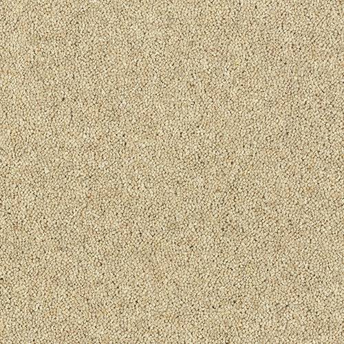 Drop Cloth