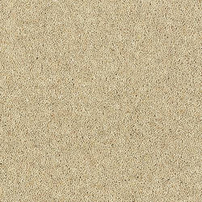 Drop Cloth