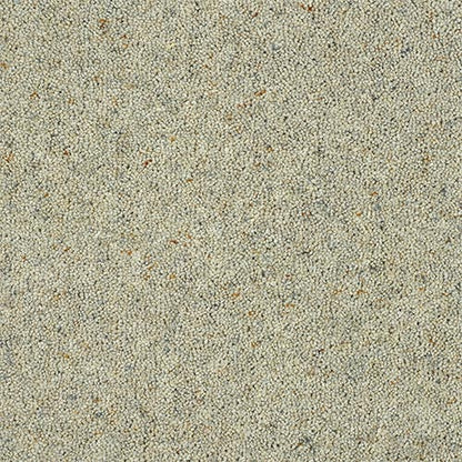 Dove Grey
