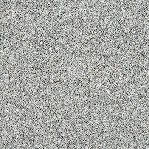 Dolphin Grey