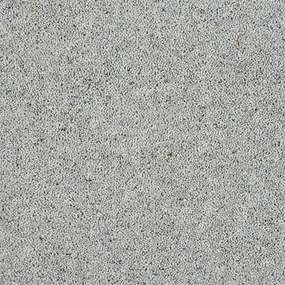Dolphin Grey