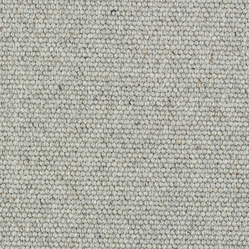 Dolphin Grey