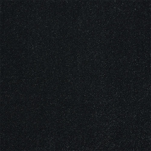 Black Raven