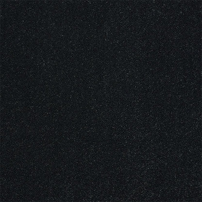 Black Raven