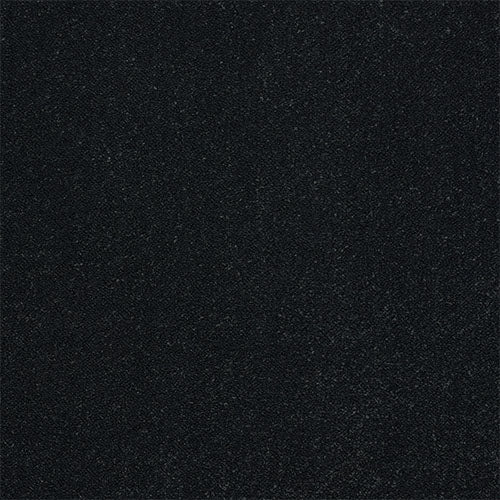 Black Raven
