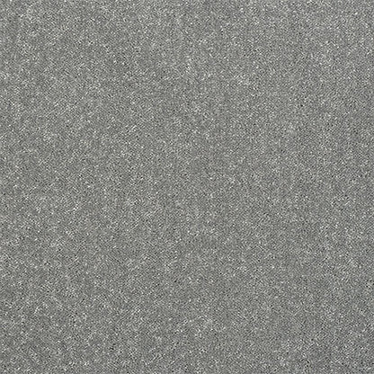 Frosted Steel