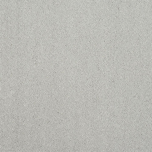 Tundra Frost