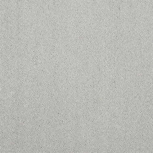 Super soft twist carpet in Tundra Frost