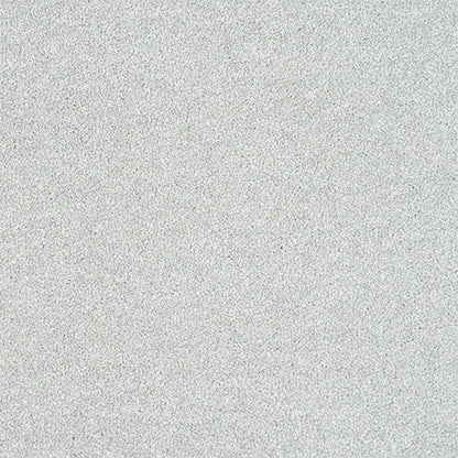 Ice Crystal