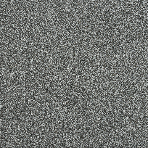 Fossil