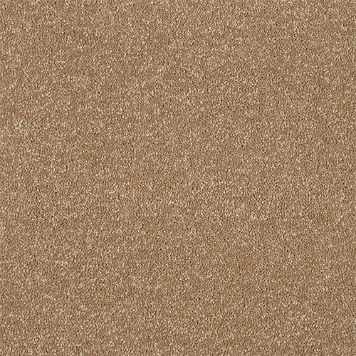 Mocha
