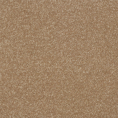 Mocha