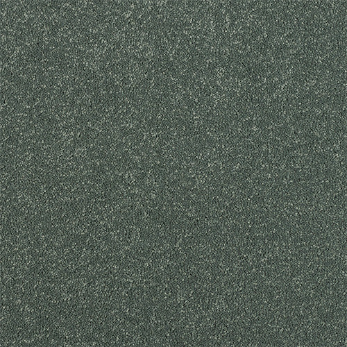 Basil