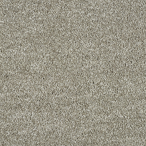 Deep pile saxony carpet in Harbour