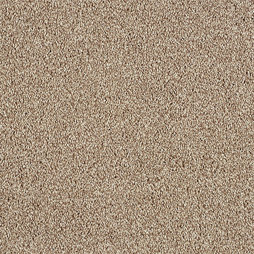 Deep pile saxony carpet in Tapestry