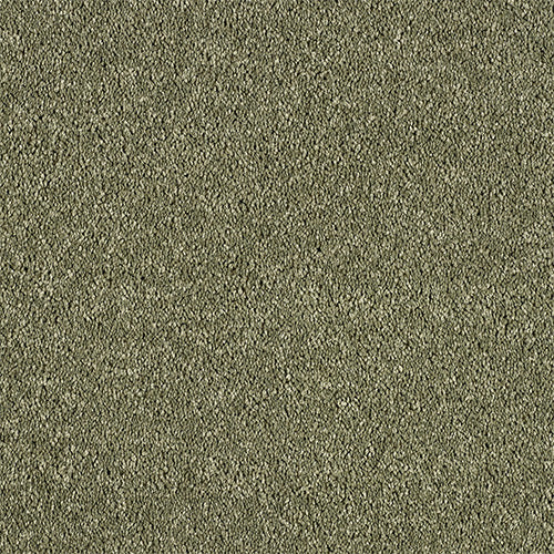 Deep pile saxony carpet in Oasis