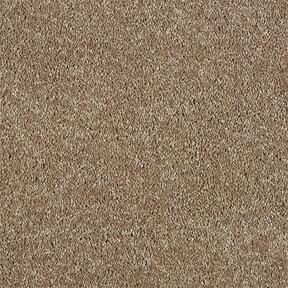 Velvet Taupe