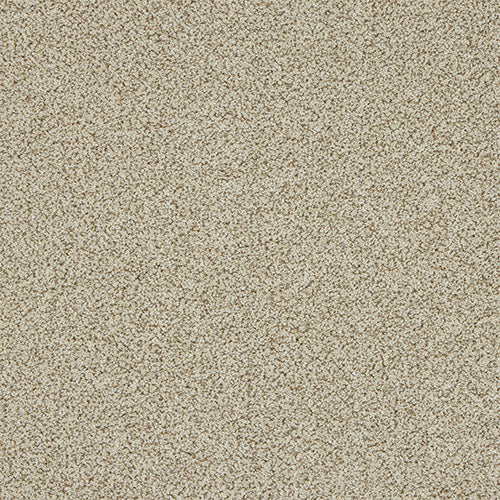 Toasted Oat
