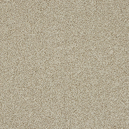 Toasted Oat