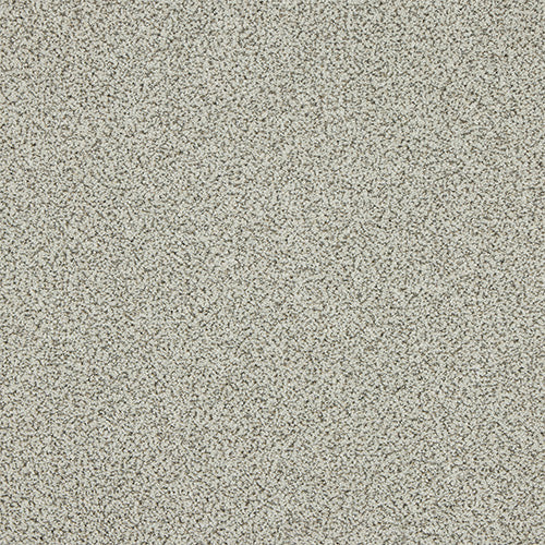 Dusty Fossil