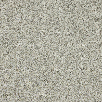Dusty Fossil