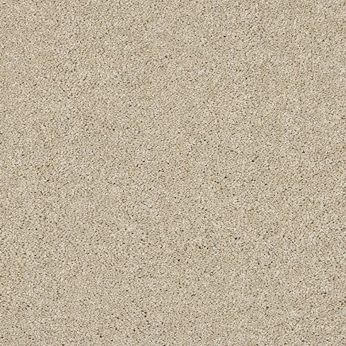 Dust