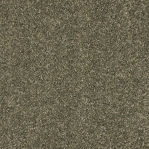 Dusty Fern